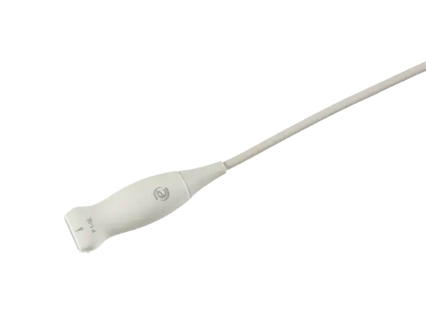 sonda esaote P 1-5E